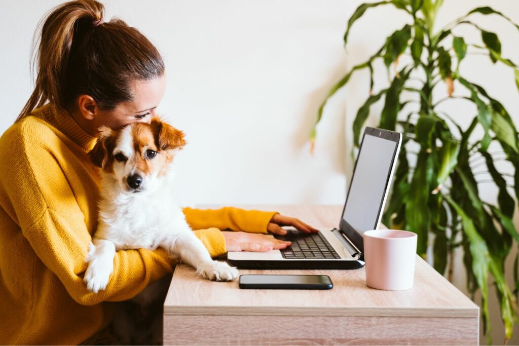 Hunde-Website erstellen